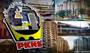 pkns