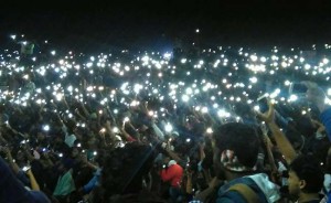 marina-jallikattu