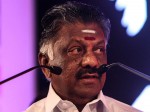 panneerselvam